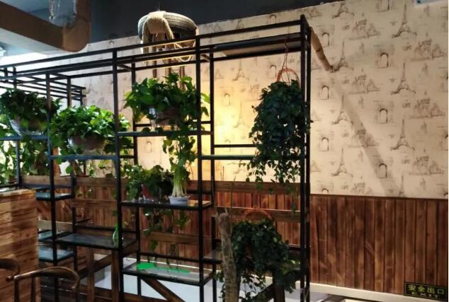 好消息|河南郑州7石咕咕鱼店盛大开业!元旦礼惠全城!