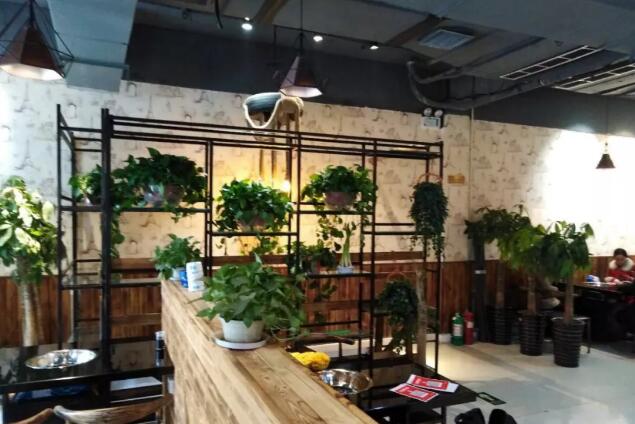 好消息|河南郑州7石咕咕鱼店盛大开业!元旦礼惠全城!