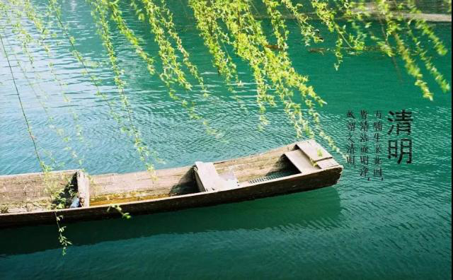 清明节 | 让文明踏青、祭祀成最好的缅怀