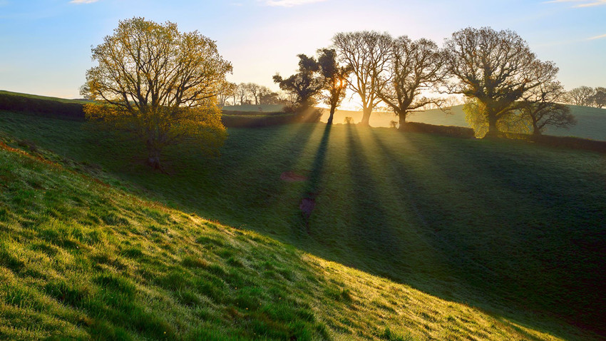 （5.25）爱自己 90秒 尽知天下事